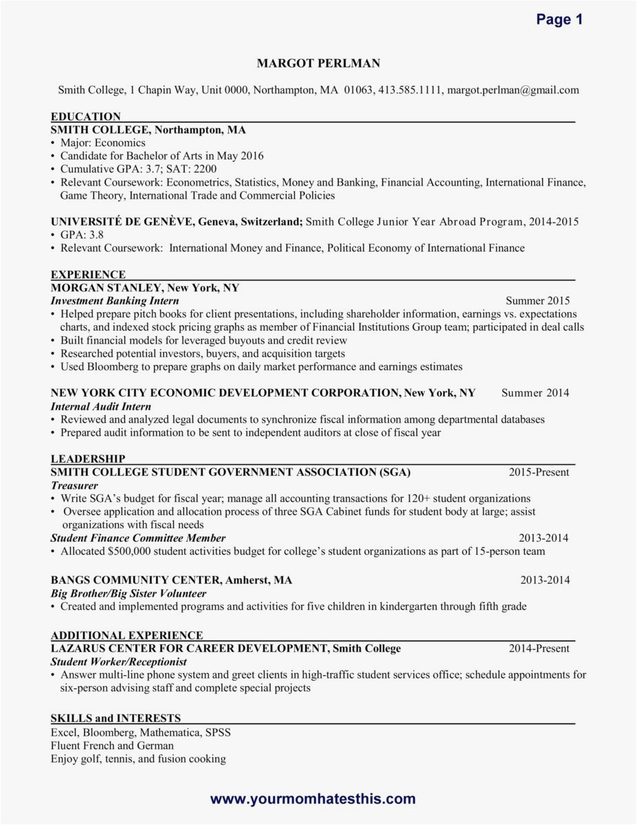 Therapist Marketing Letter Template - 26 therapist Resume Examples Examples