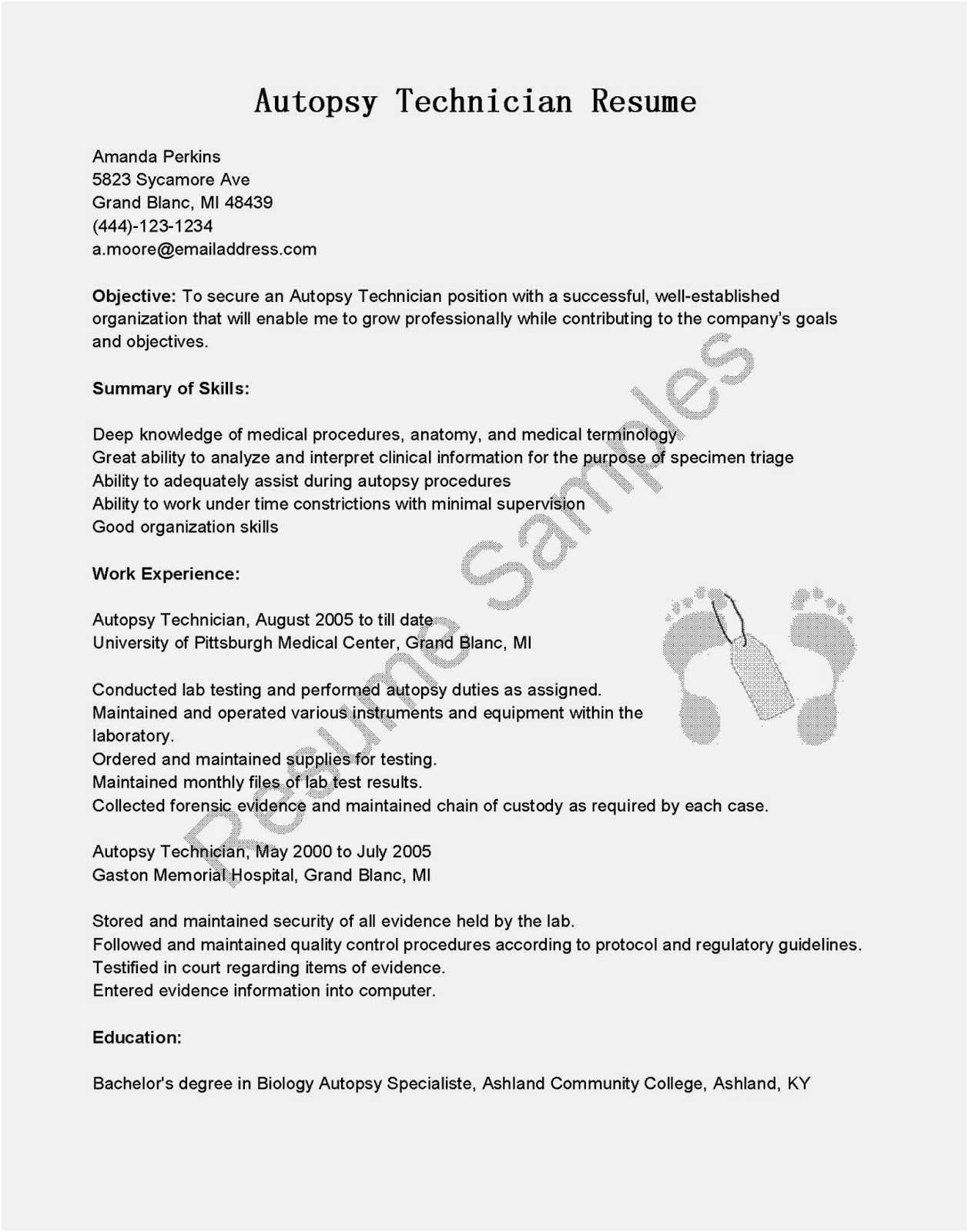 Cover Letter Template Word - Cover Letter format Usa Jobs New Usajobs Resume Template Executive