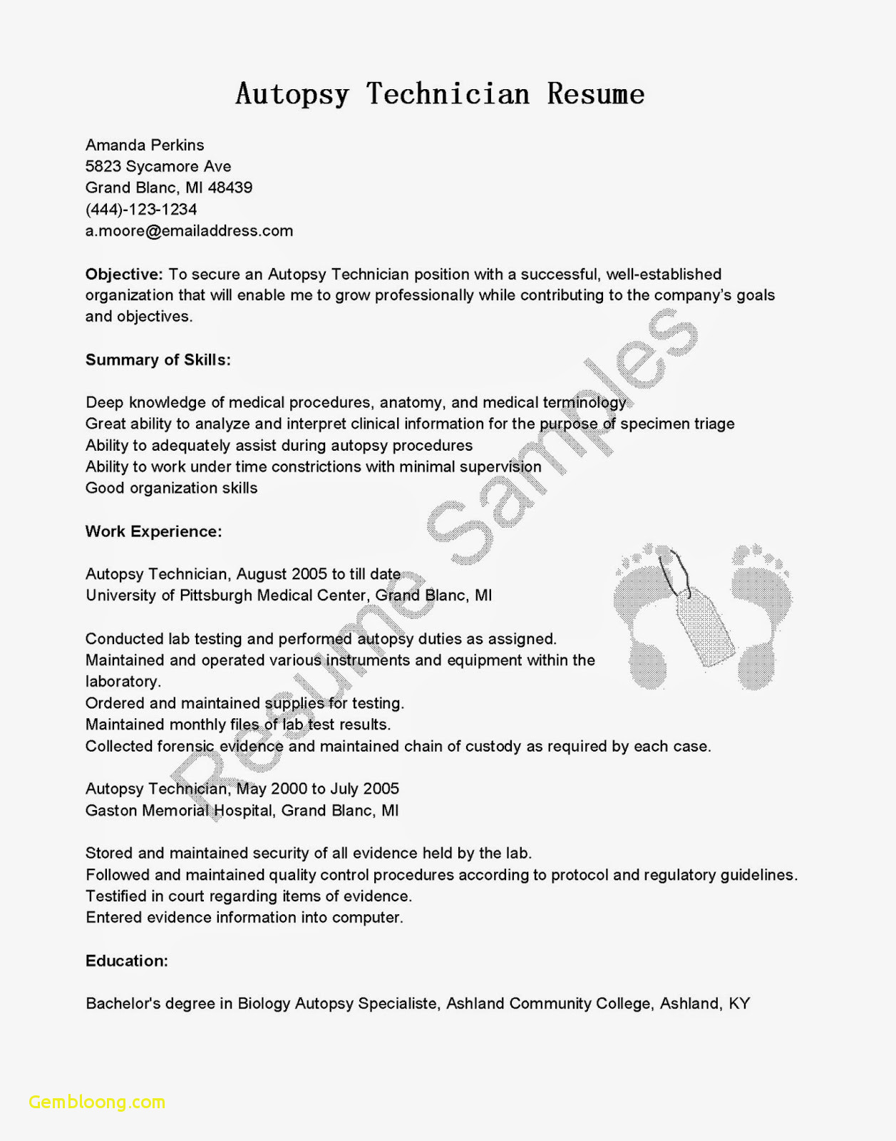 Letter Of Employment Template Word - Federal Job Resume Template New Executive Resume Templates Word Od