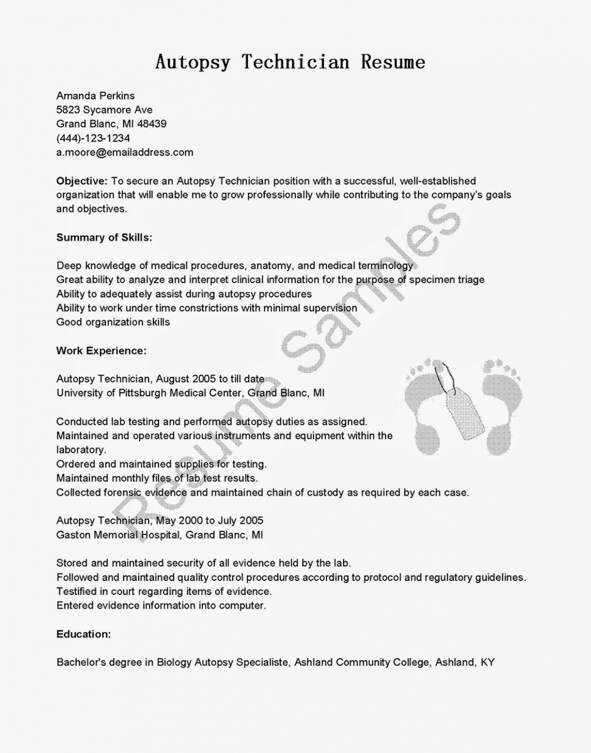 Professional Letter Template Word - Professional Engineer Resume Template — Resumes Project